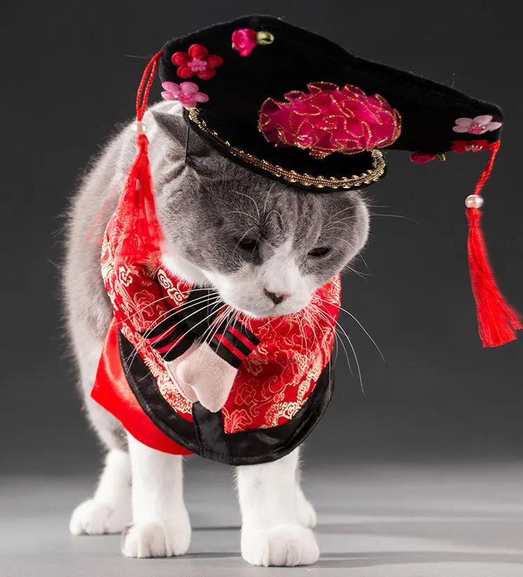 Cute Halloween Costumes for Pets by Zoomies & Co