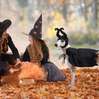 Halloween Witch-Shaped Costume for Cats & Dogs
