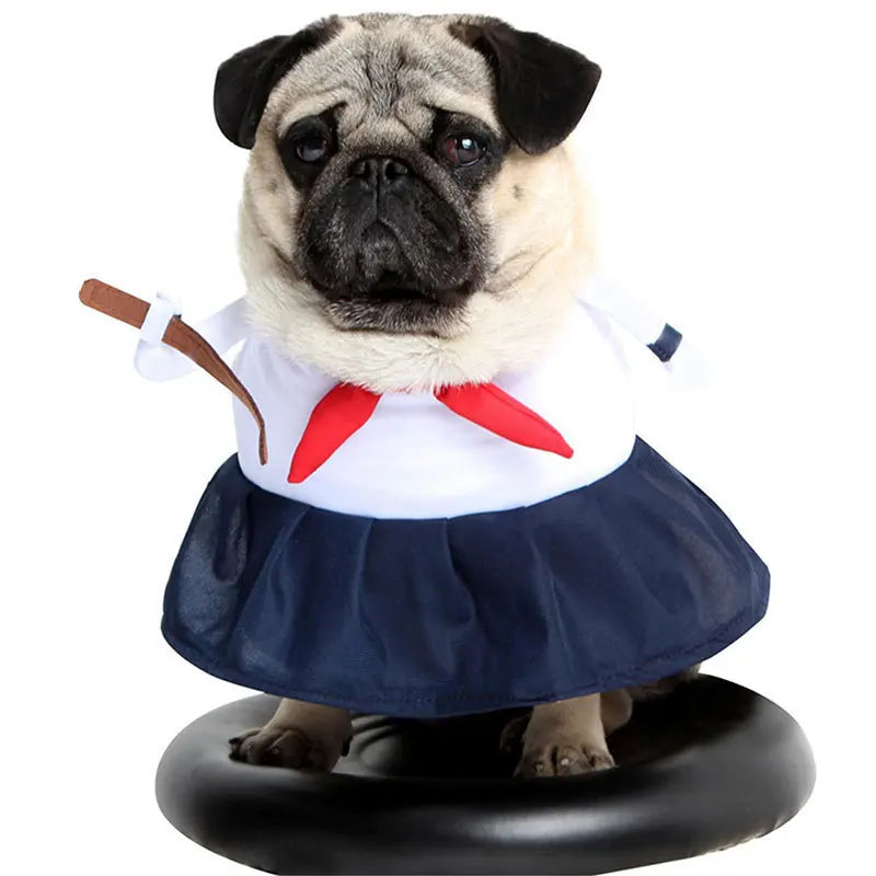 Cute Halloween Costumes for Pets by Zoomies & Co