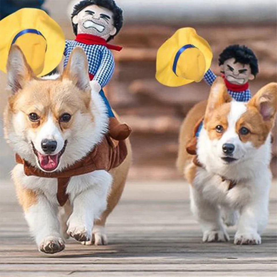 Cowboy Dog Costume for Halloween Fun