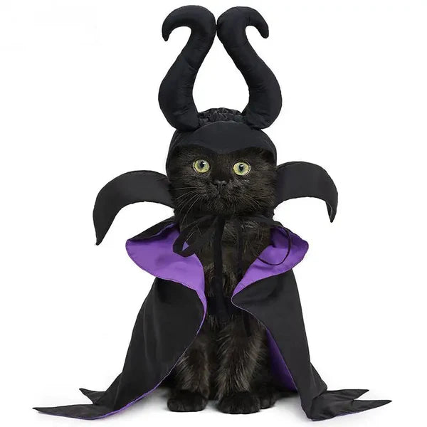 Halloween Witch-Shaped Costume for Cats & Dogs