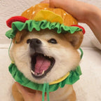 Halloween Pet Burger Costume