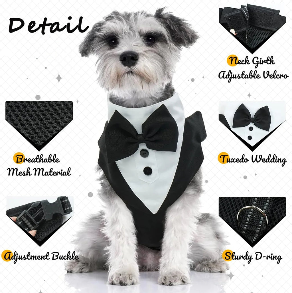 Dog Tuxedo Dress Set