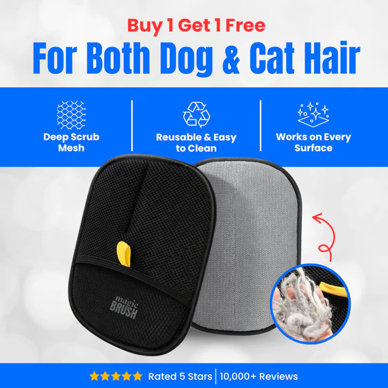 Buy 1 Get 1 Free