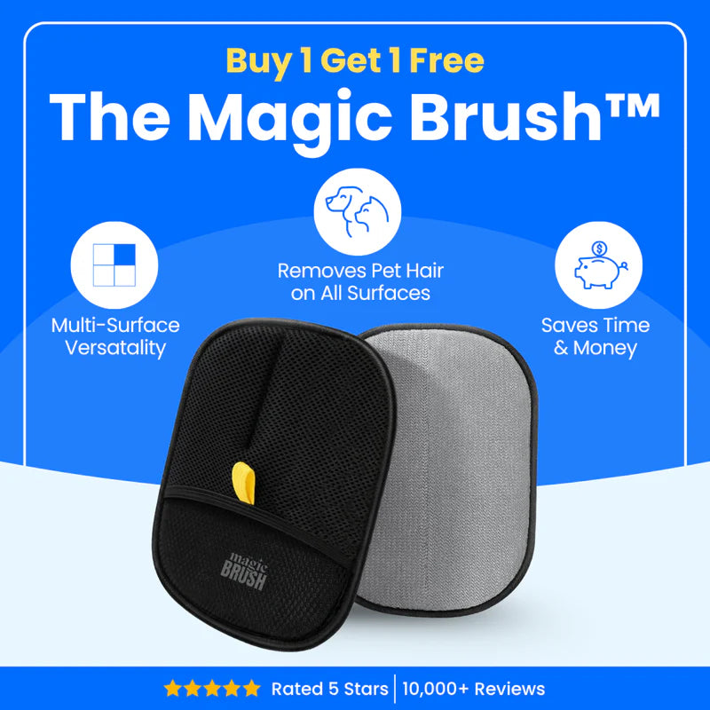 Buy 1 Get 1 Free