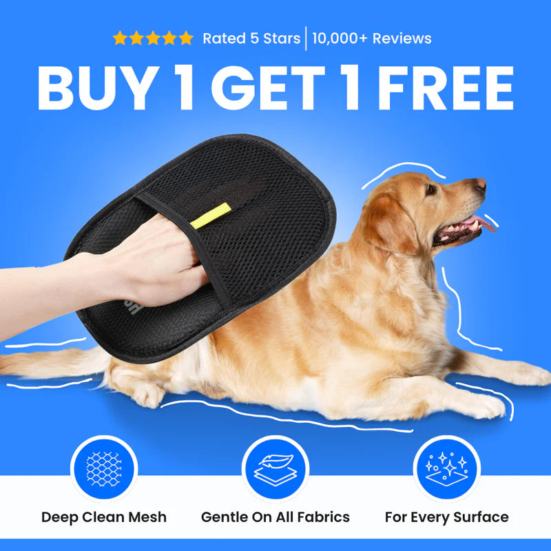 Buy 1 Get 1 Free