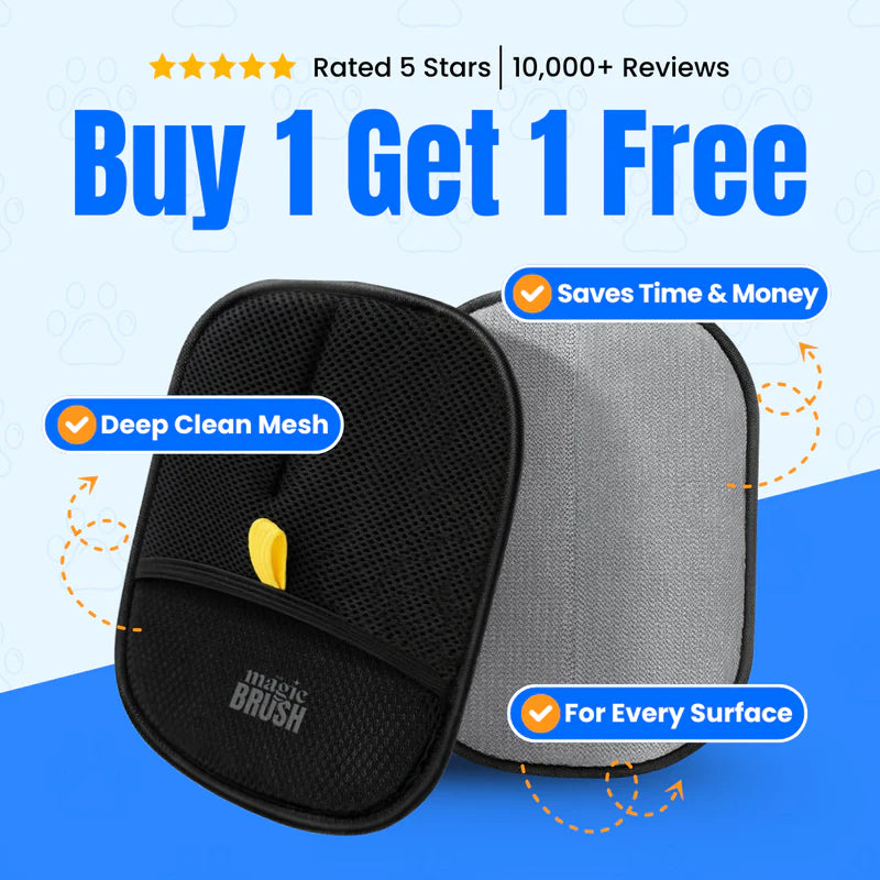 Buy 1 Get 1 Free
