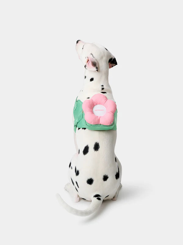 Flora Pet Backpack, Harness & Leash 3 In 1 Set