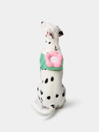 Flora Pet Backpack, Harness & Leash 3 In 1 Set
