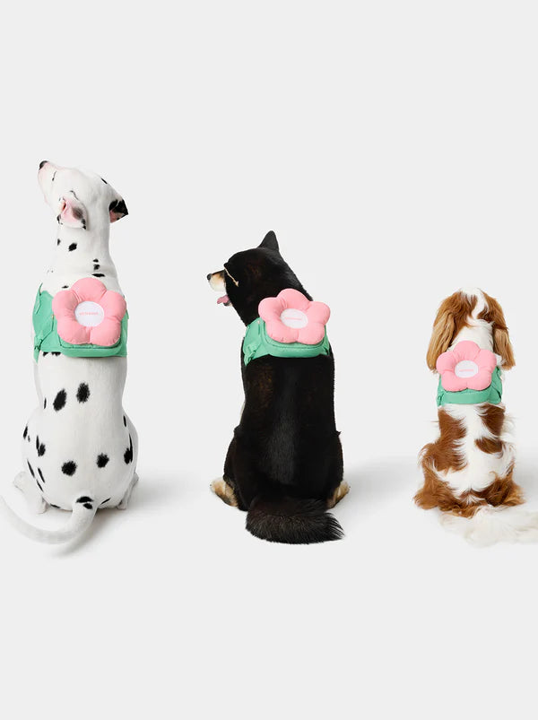 Flora Pet Backpack, Harness & Leash 3 In 1 Set