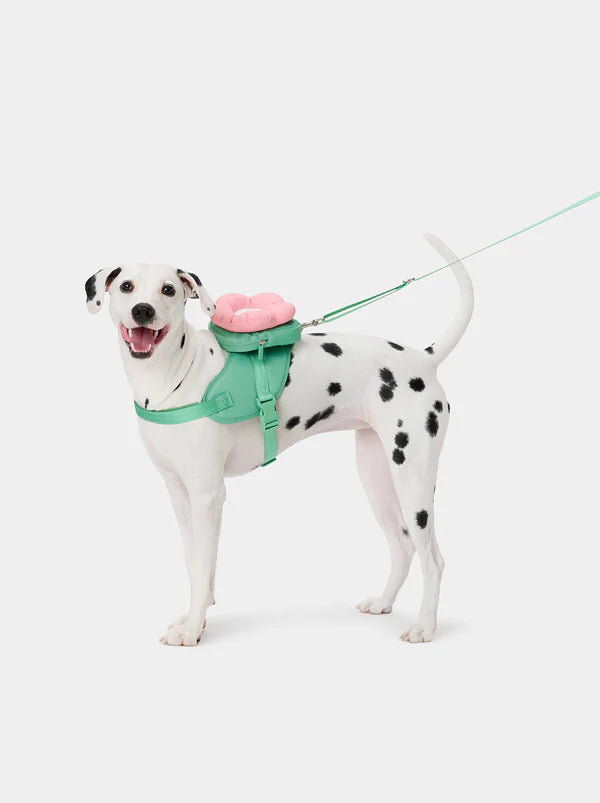 Flora Pet Backpack, Harness & Leash 3 In 1 Set