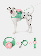 Flora Pet Backpack, Harness & Leash 3 In 1 Set