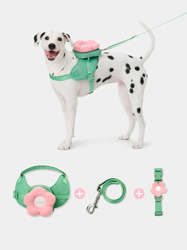 Flora Pet Backpack, Harness & Leash 3 In 1 Set
