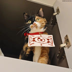 Demon Salyer Chachamaru Cat Clothes Coat Scarf