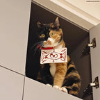 Demon Salyer Chachamaru Cat Clothes Coat Scarf