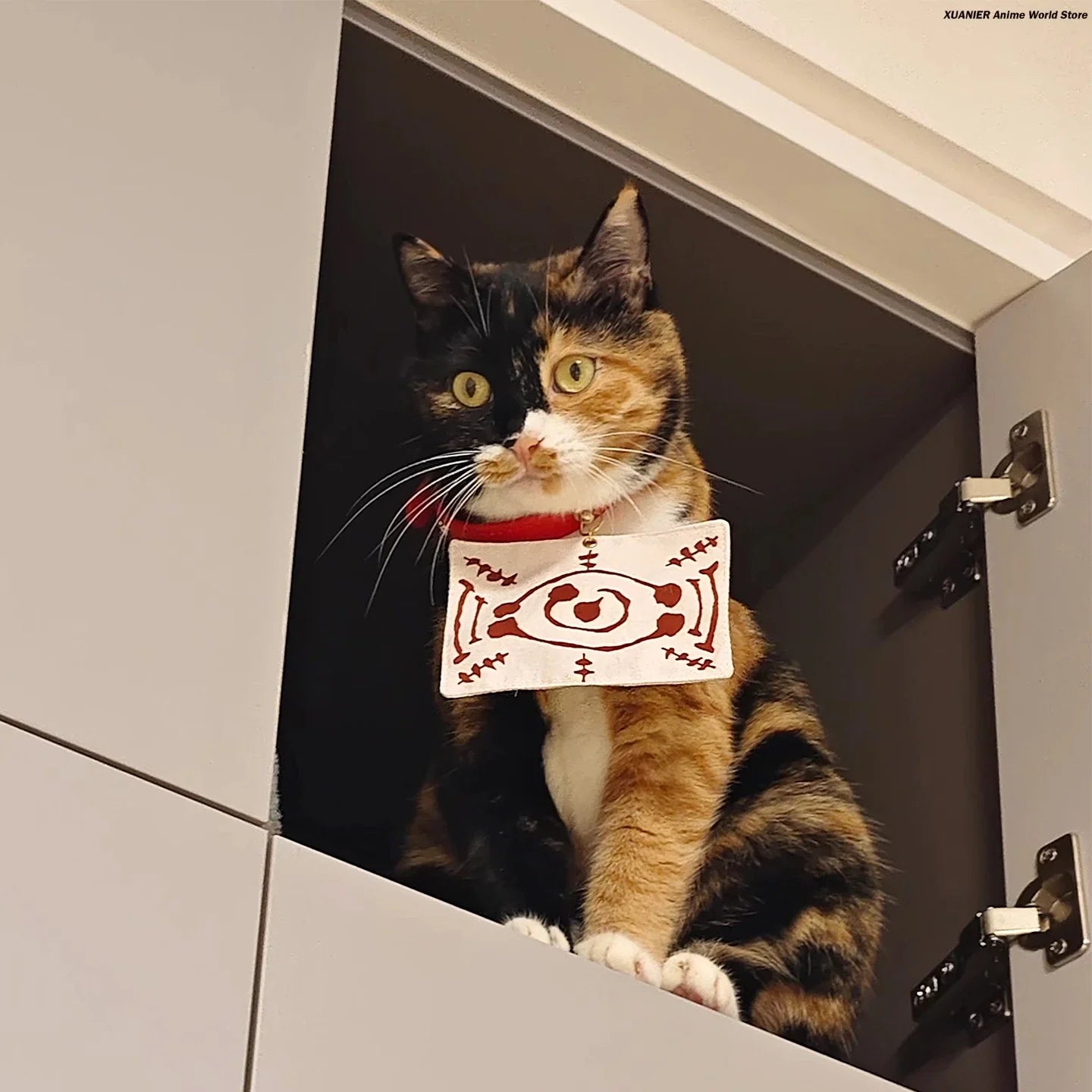 Demon Salyer Chachamaru Cat Clothes Coat Scarf