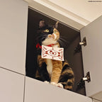 Demon Salyer Chachamaru Cat Clothes Coat Scarf