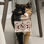 Demon Salyer Chachamaru Cat Clothes Coat Scarf