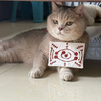 Demon Salyer Chachamaru Cat Clothes Coat Scarf