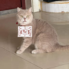 Demon Salyer Chachamaru Cat Clothes Coat Scarf