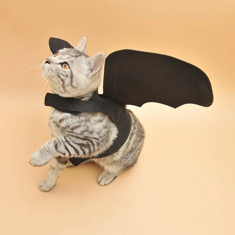 Unique Bat Wing Pet Costume for Dogs & Cats, Perfect Halloween Accessory, Transform Your Pets, Ideal for Dress-Up Performances