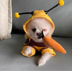 Bee Costume for Dogs