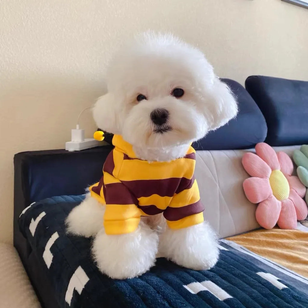 Bee Costume for Dogs