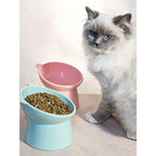 Nordic Style Elevated Anti-Tip Cat Bowl with Neck Protection, Square-rim Double-handled Dog Water Bowl Pet Supplies