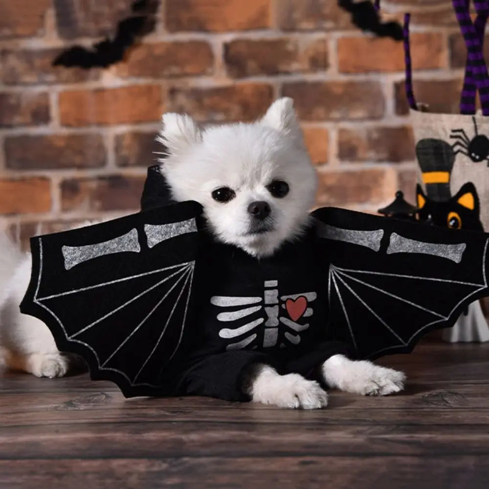 Black Bat Costume for Dogs
