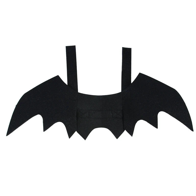 Cat Bat Wings Costume for Halloween
