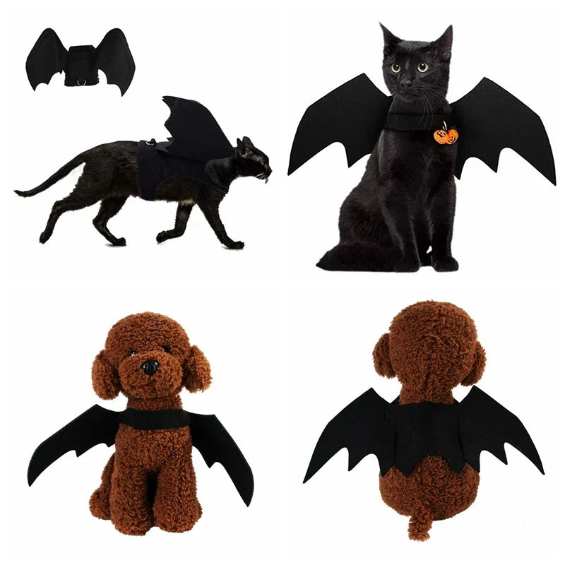 Cat Bat Wings Costume for Halloween