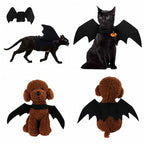 Cat Bat Wings Costume for Halloween