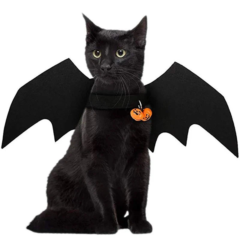 Cat Bat Wings Costume for Halloween