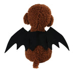 Cat Bat Wings Costume for Halloween
