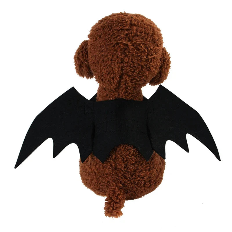 Cat Bat Wings Costume for Halloween