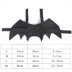 Cat Bat Wings Costume for Halloween