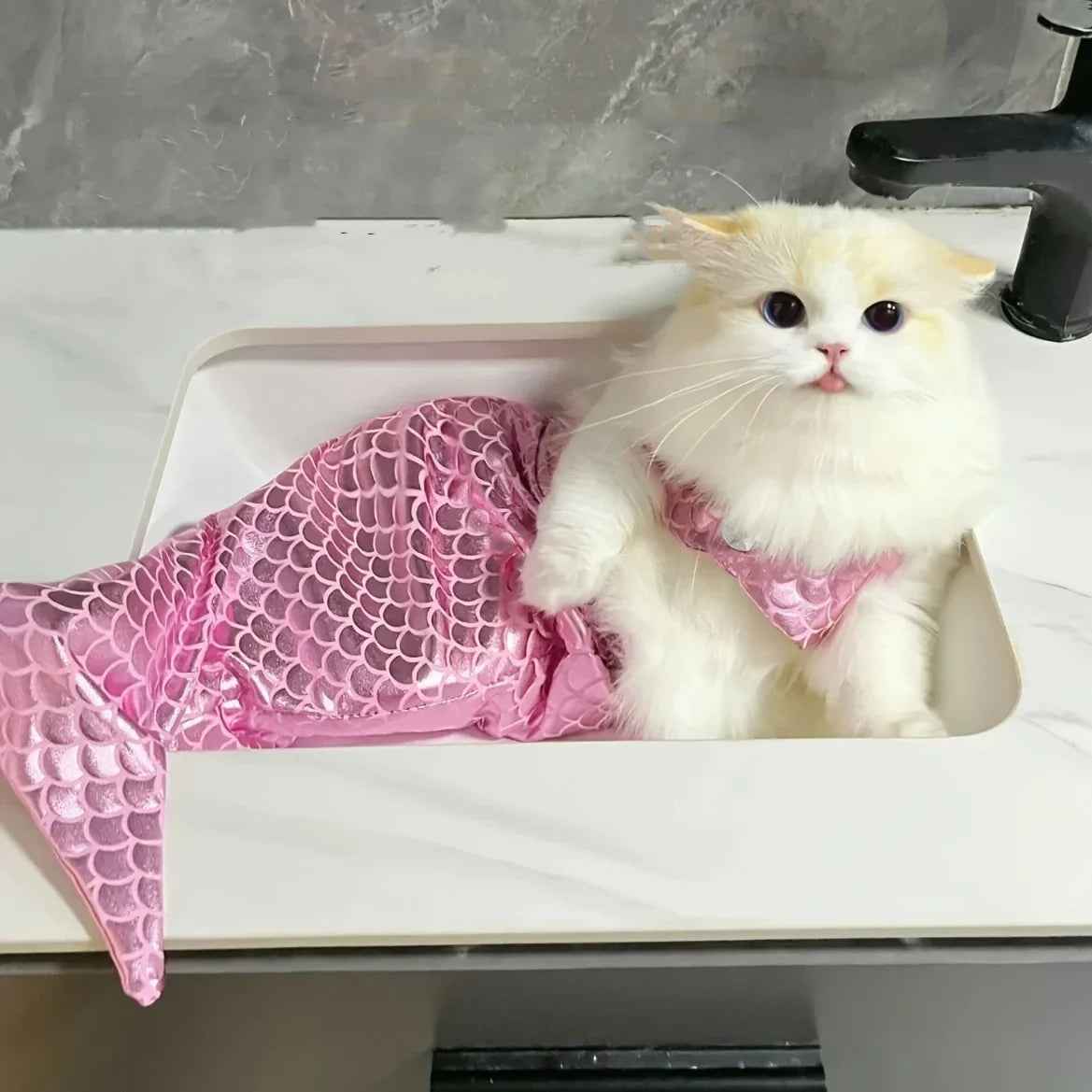 Cat Mermaid Costume