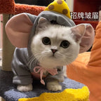 Cat Mouse Costume