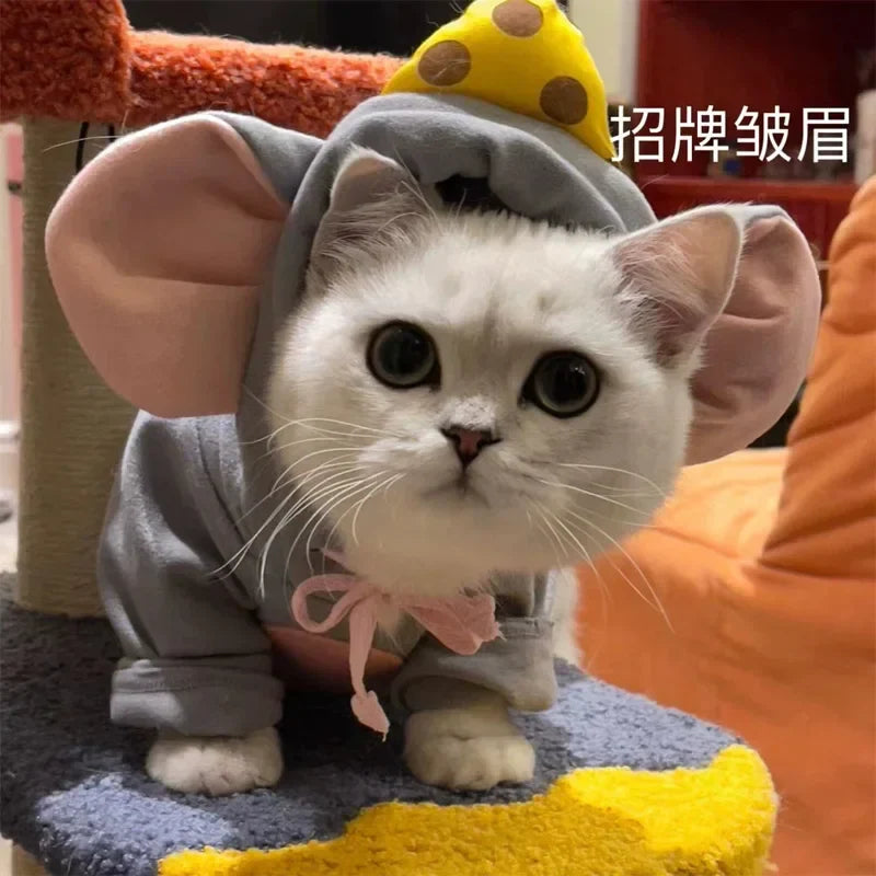 Cat Mouse Costume