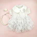 Halloween Pet Dress for Cats and Dogs