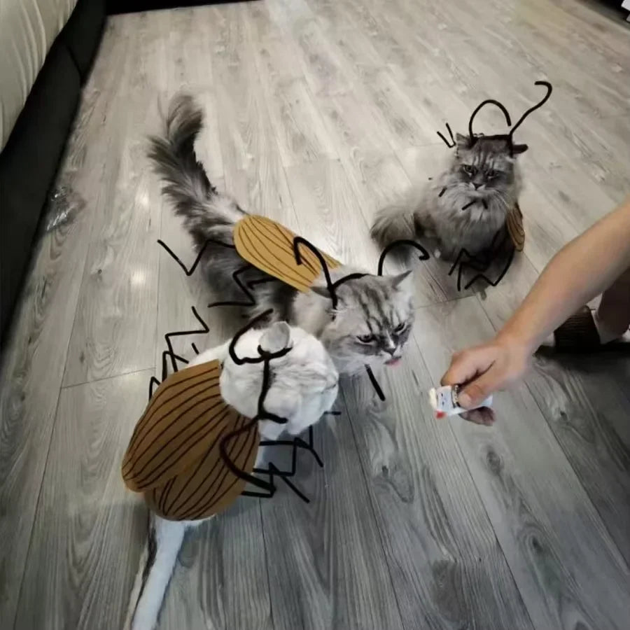 Cockroach Costume for Cats (Nuclear Halloween)