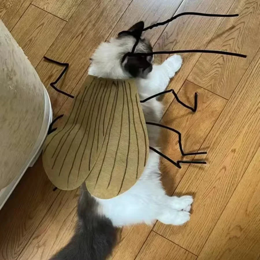Cockroach Costume for Cats (Nuclear Halloween)