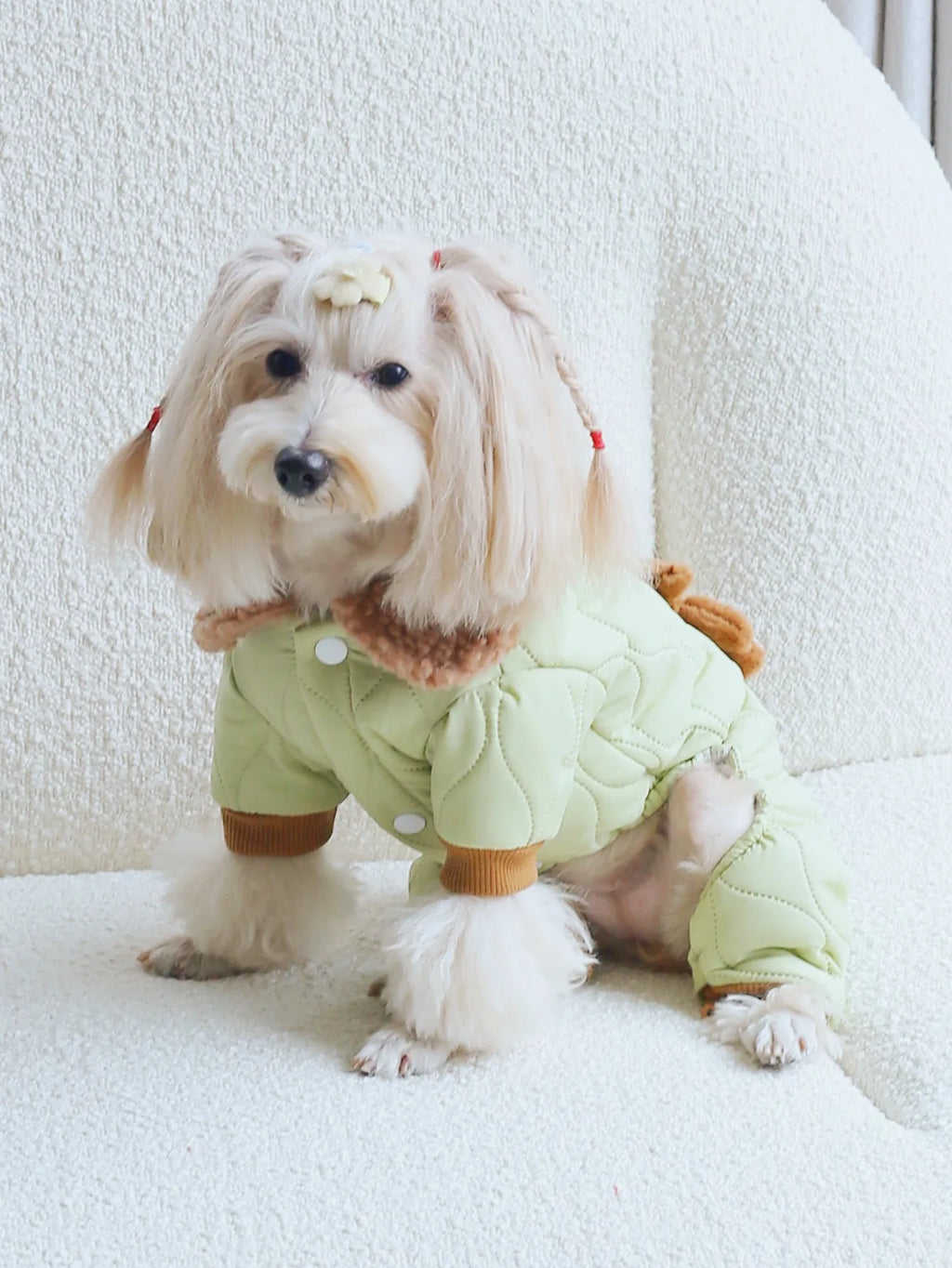 Cute Dog Pajamas with Plush Accessory