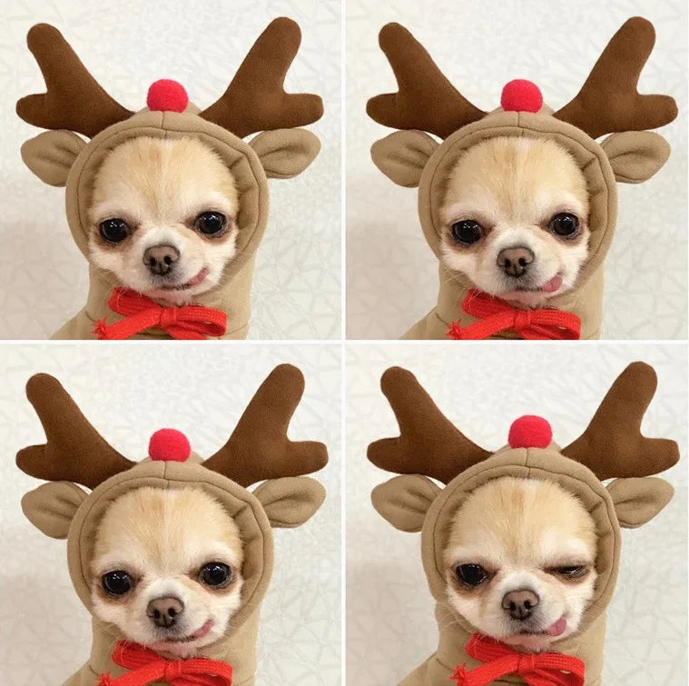 Cute Animal Dog Costume Collection
