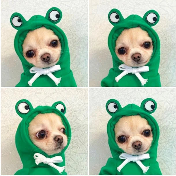 Cute Animal Dog Costume Collection