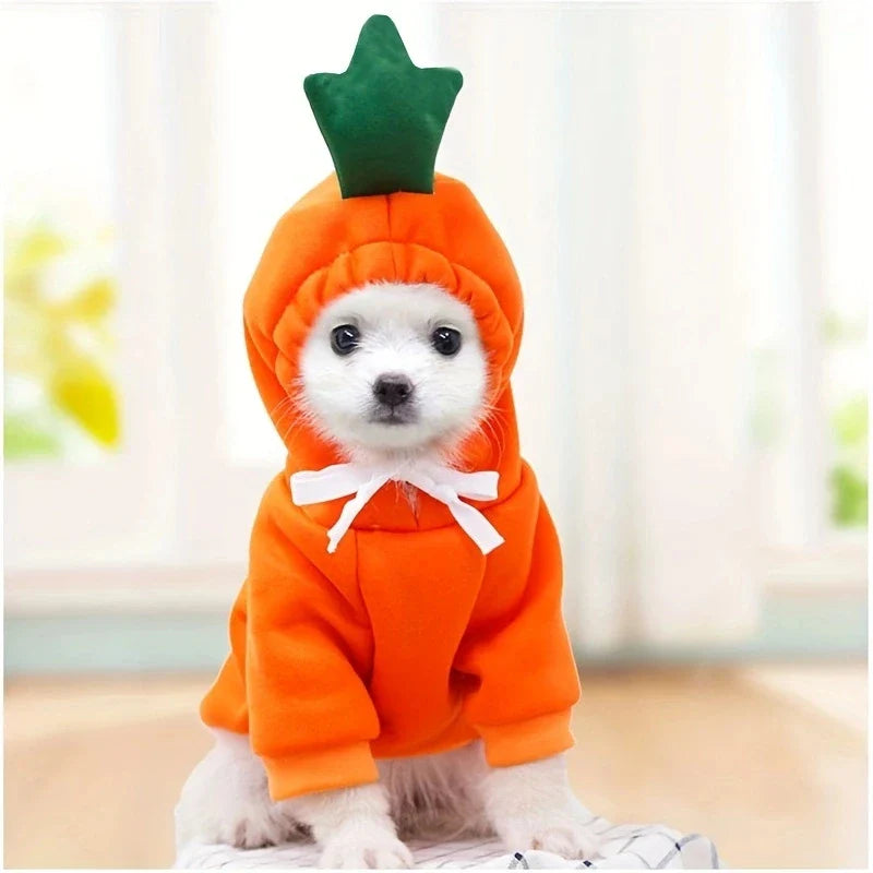 Cute Animal Dog Costume Collection