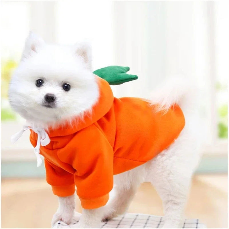 Cute Animal Dog Costume Collection