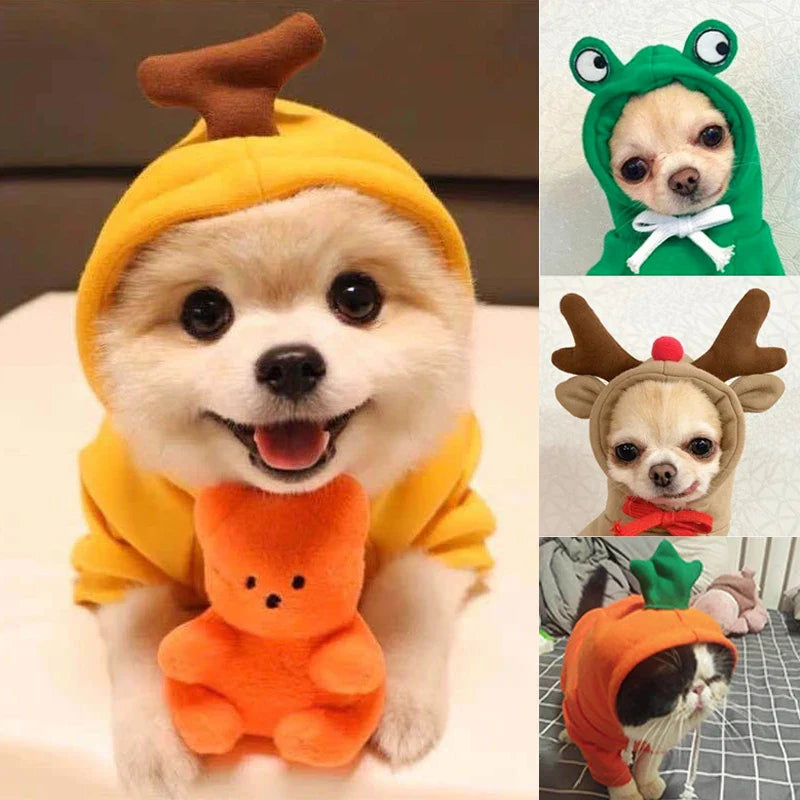 Cute Animal Dog Costume Collection