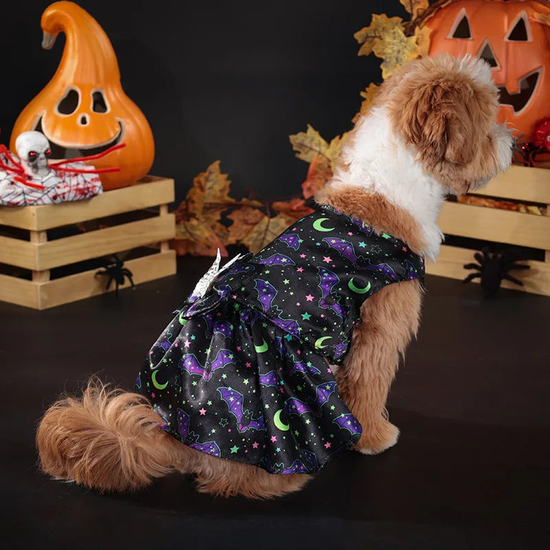 Cute Halloween Costume for Medium Pets
