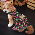 Cute Halloween Costume for Medium Pets